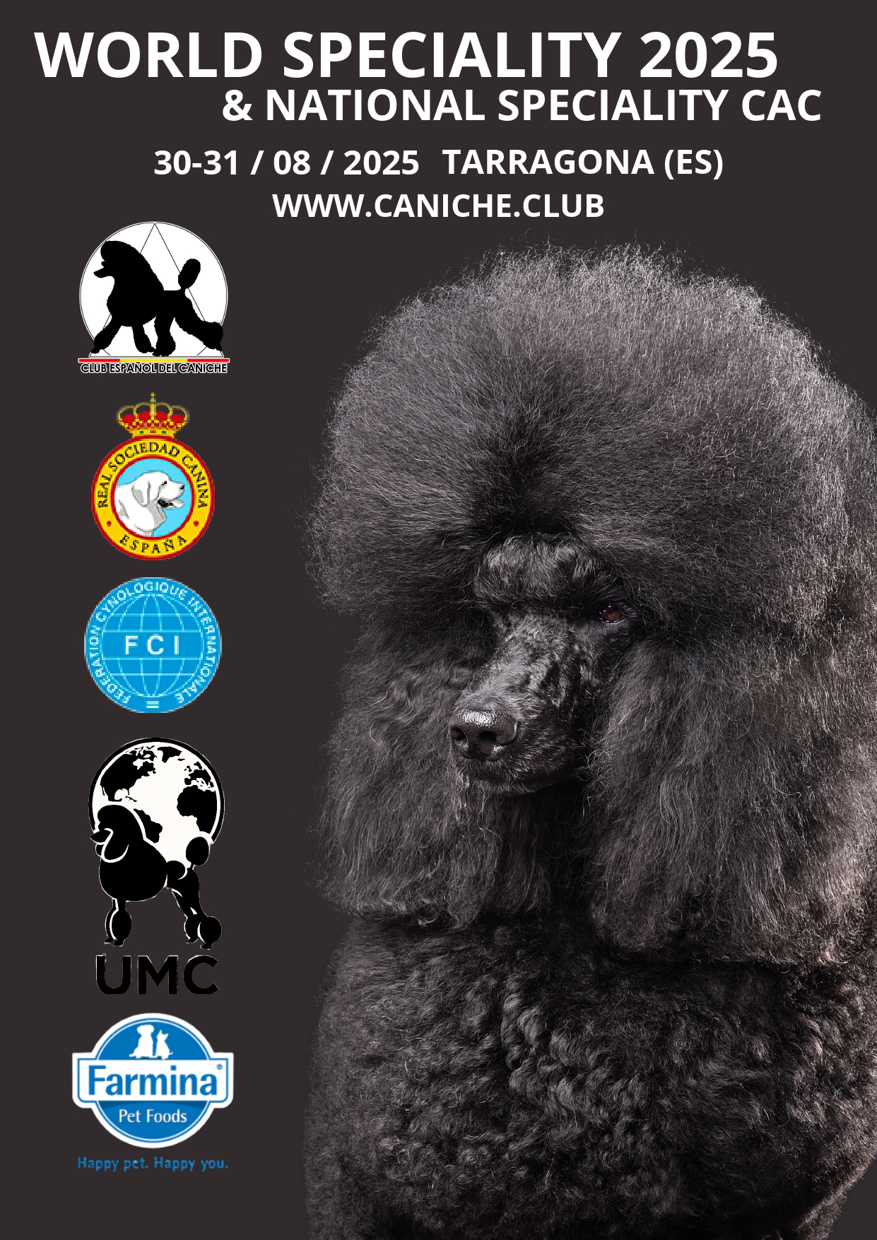 campionat caniche